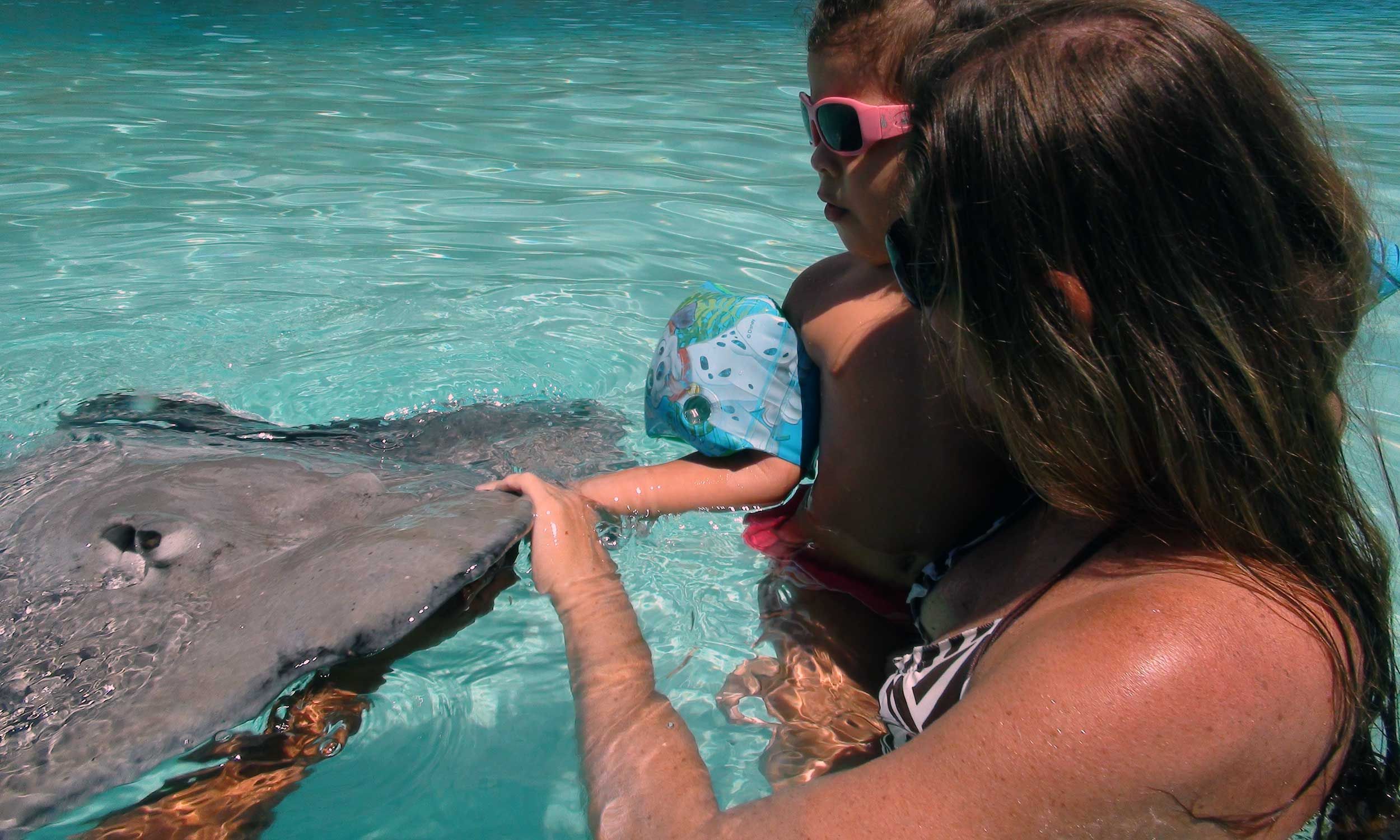 Lagoon tours & Snorkeling